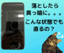 ブラックアウトしてしまったiPhone SE3