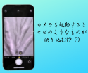 カメラの映りがおかしい(・・?　iPhone13